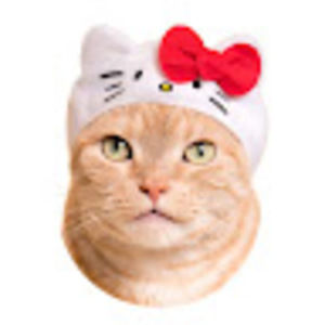 Meet your Posher, Sophie